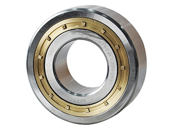 Cylindrical Roller Bearings