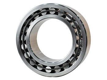 CARB Circular Roller Bearings